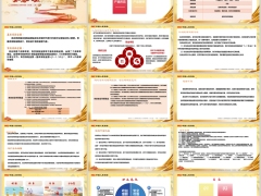 人保寿险如意人生分红型A款产品形态案例24页 .pptx 