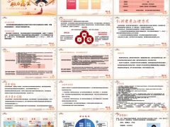 人保寿险锦绣人生终身寿险分红型产品形态案例模板客群23页.pptx 