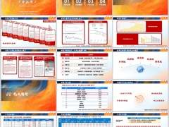 复星保德信星颐朱雀版分红型背景亮点解析产品介绍案例36页.pptx 