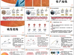新华盛世荣耀卓越版客户画像销售逻辑异议处理20页.pptx 