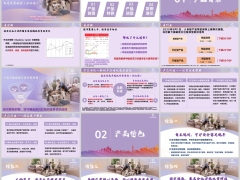 新华盛世安盈卓越版产品背景特色基础知识信息案例38页.pptx 
