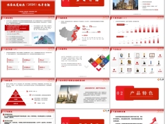 信泰永爱传承2026公司背景产品介绍案例演示27页.pptx 