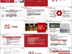 爱心百岁人生5.0乐享版背景介绍产品要素案例18页.pptx 