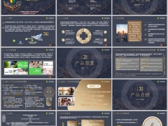 瑞华颐悦无忧终身护理保险鑫享版产品背景介绍案例26页.pptx 