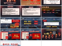 中国人寿鑫瑞金生产品形态四大传承案例演示13页.pptx 