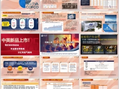 中英悦活人生B款分红型公司介绍产品特色亮点规则案例24页.pptx 