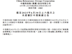 中国再保2025年中期业绩公告70页.pdf 