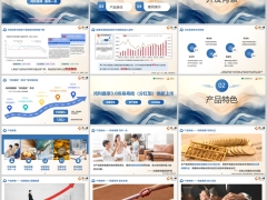 陆家嘴国泰鸿利鑫享3.0开发背景产品特色责任案例27页.pptx 