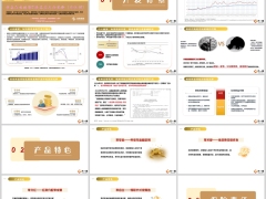 信泰如意鸿禧B款开发背景产品特点案例演示公司介绍40页.pptx 