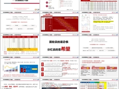 中银尊享世家2025A分红型销售三个层级案例演示22页.pptx 