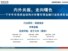 下半年市场资金结构分析暨非银金融行业投资机会内外共振走向曙色53页.pdf 