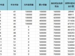 东吴锦绣鸿图B款增额终身寿险分红型含单利IRR计划书.xlsx 
