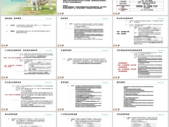 阳光保少儿E款基础知识产品解析规则说明案例演示21页.pptx 