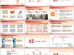 人保寿无忧人生2025成人版背景产品形态亮点案例演示25页.pptx 