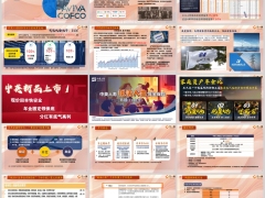 中英悦活人生B款分红型公司介绍产品特色亮点规则案例24页.pptx 