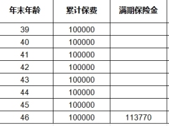 国寿鑫添宝两全计划基础测试版保险利益演示.xlsx 