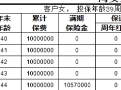 国寿鸿安宝两全分红型计划书基础测试版保险利益演示.xlsx 