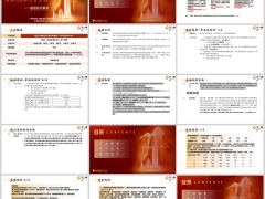 陽光升E款基礎知識産品解析規則說明案例演示17頁.pptx 
