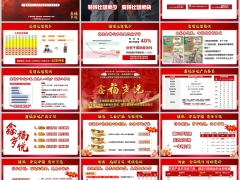 太平洋鑫福岁悦产品要素形态三大亮点投资案例41页.pptx 