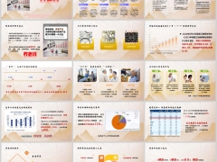 银发经济发展三大特征核心变化养老年金核心卖点16页.pptx 