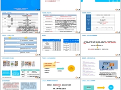 复星保德信大黄蜂16号旗舰版产品方案亮点增值服务21页.pptx 