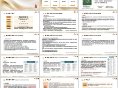 工銀安盛御立方八号25产品概述介绍案例演示25頁.pptx 