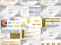 建信龍耀瑞家分紅型背景産品形態責任亮點案例話術34頁.pptx 