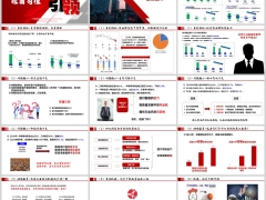續期團隊總結組織發展問題核心經營分析功能組三大關鍵53頁.pptx 