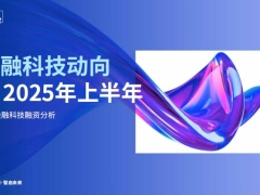 金融科技动向2025年上半年全球金融科技融资分析67页.pdf 
