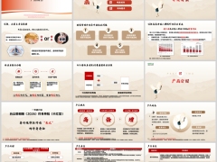 合众爱相随2026分红型背景产品介绍健康服务案例演示29页.pptx 
