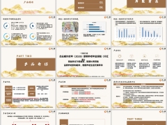 合众相约优年2026即期养老产品介绍健康服务案例演示25页.pptx 
