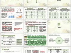 瑞众常青树特惠3.0版开发背景产品介绍投保案例规则21页.pptx 