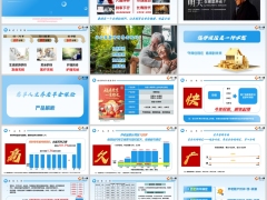 农银个险产品体系惠享人生惠满意投保事项责任案例25页.pptx 