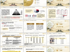 瑞众传家宝财富满盈开发背景产品介绍规则投保案例20页.pptx 