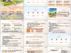 新华宏瑞人生分红型理念产品解析案例演示运营规则27页.pptx 