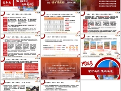 阳光颐享金升分红型产品三大特点计划书讲解14页.pptx 