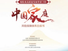 保险业高质量发展背景下的中国家庭风险保障体系白皮书精华版94页.pdf 