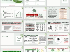瑞众常青树多倍6.0版开发背景产品介绍案例规则23页.pptx 