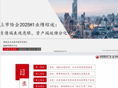 上市险企2025H1业绩综述负债端表现亮眼资产端延续分化29页.pdf 