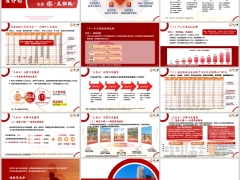 阳光人寿阳光寿D款养老年金保险个养版优势案例14页.pptx 