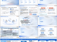 瑞众医保通至尊版开发背景产品形态特色规则19页.pptx 