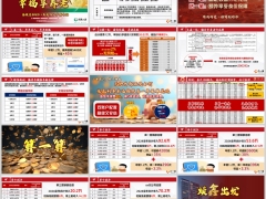 国寿鑫颐宝2025制度内产品介绍案例演示15页.pptx 