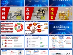 保单体检意义功用介绍及操作教学计划书介绍国寿版36页.pptx 