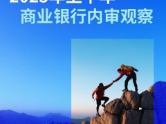 2025年上半年商业银行内审观察41页.pdf 