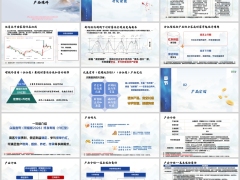 合众众盈壹号荣耀版2026分红型背景产品介绍服务案例29页.pptx 