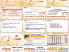 富德生命传世鑫禧A款产品基础案例解析片20页.pptx 