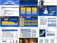 太平洋鑫福相伴优享25A产品形态特色案例演示客户画像18页.pptx 