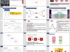分红销售五步致胜讲痛点给框架讲分红回需求排异议36页.pptx 