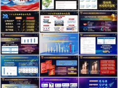 新华保险2025年半年度成绩汇报单经营亮点实力见证15页.pptx 