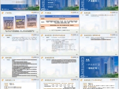 阳光人寿岁享人生B款两全保险基础知识案例演示20页.pptx 